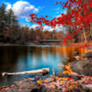 Meet your Posher, Bailey